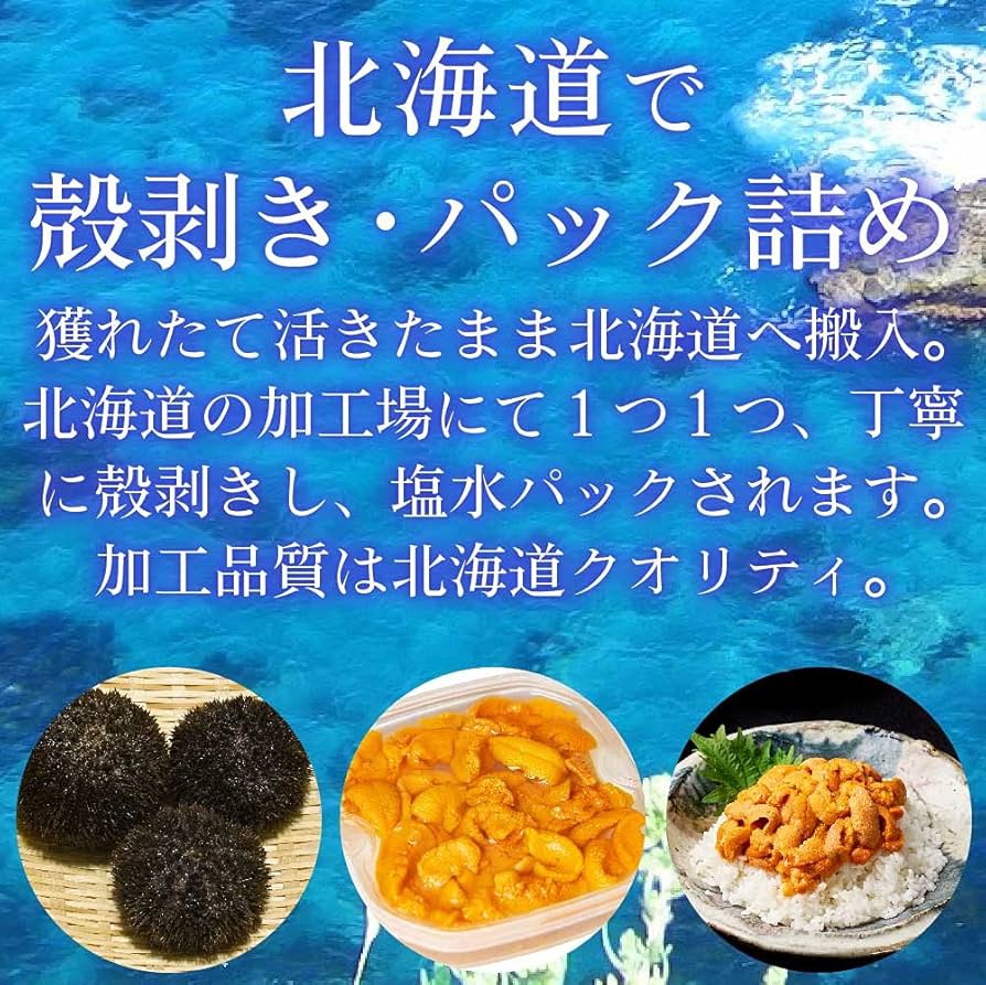 Amazon.co.jp: 塩水うに 【札幌場外市場】 【100g × 2個セット